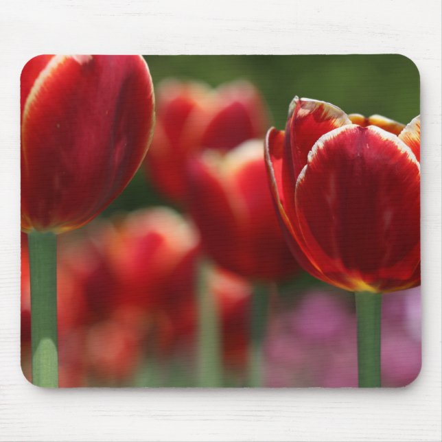 Tulips Mousepad (Vorne)