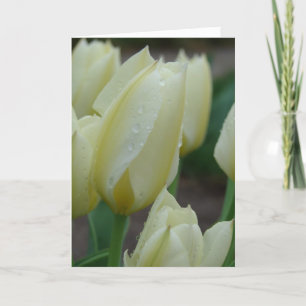 Tulips nach dem Regen Feiertagskarte