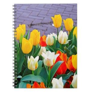 Tulips Notizblock