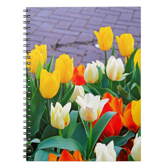 Tulips Notizblock (Vorderseite)