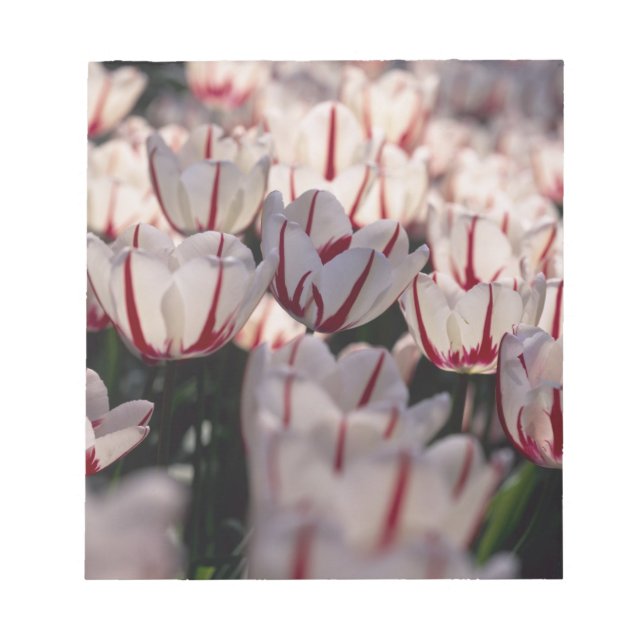 Tulips Notizblock (Vorderseite)