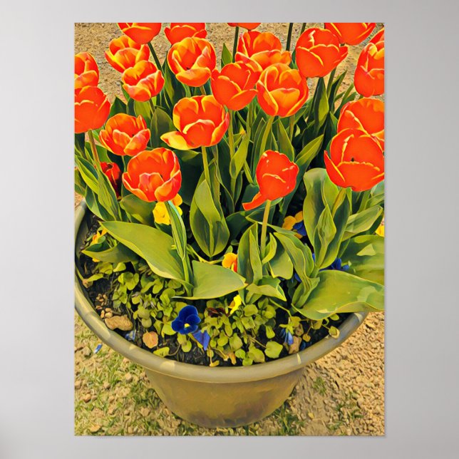 Tulips Orange Blume Festival Fotografie Poster (Vorne)