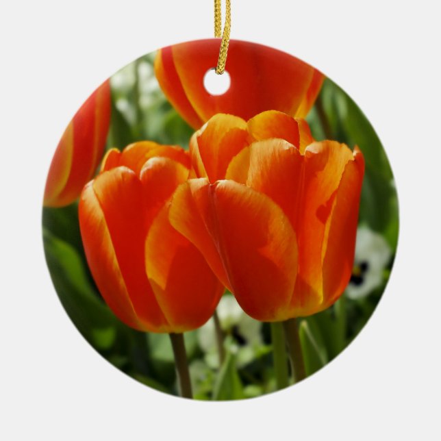 Tulips Ornament (Vorne)