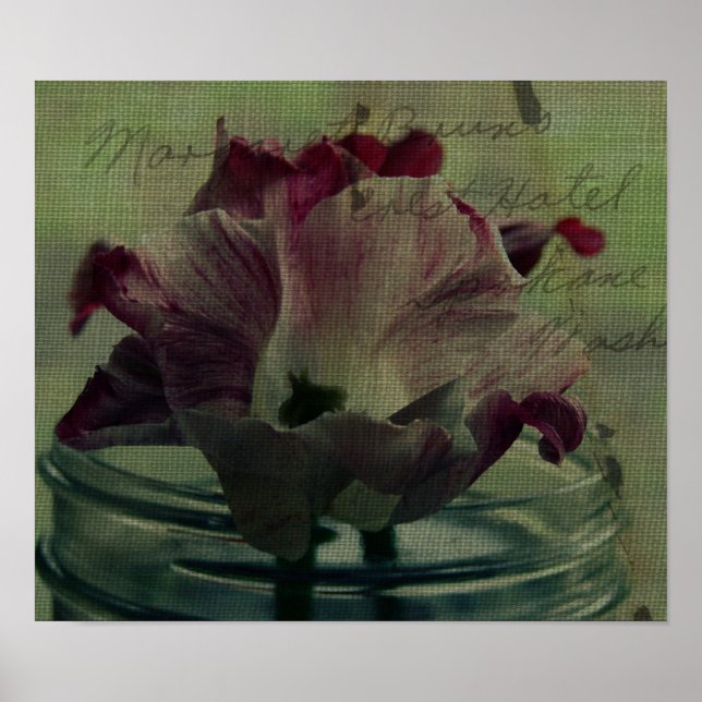 Tulips Poster (Vorne)