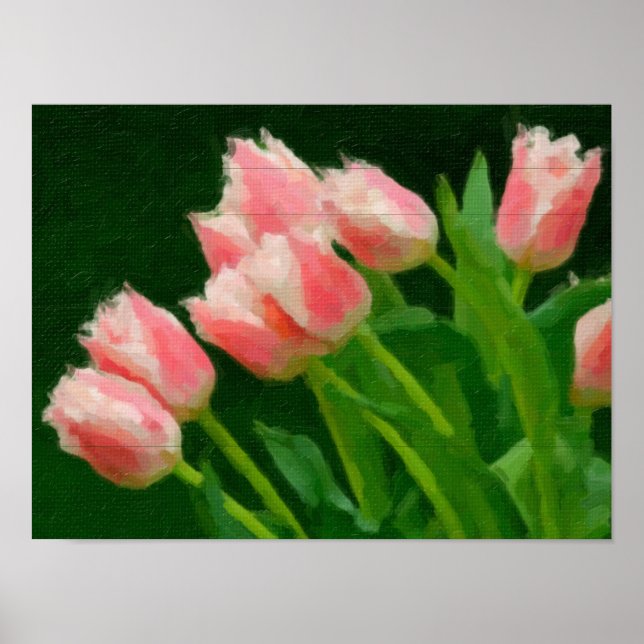 Tulips Poster (Vorne)