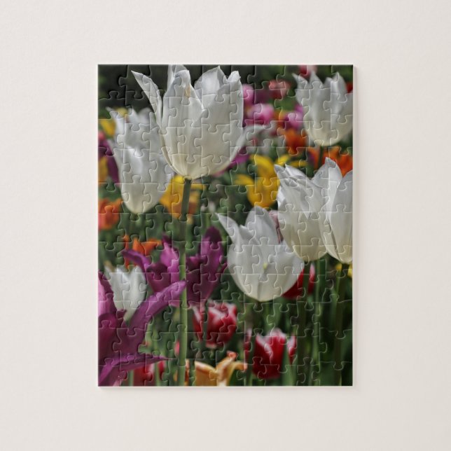 Tulips Puzzle (Vertikal)