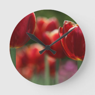 Tulips Runde Wanduhr