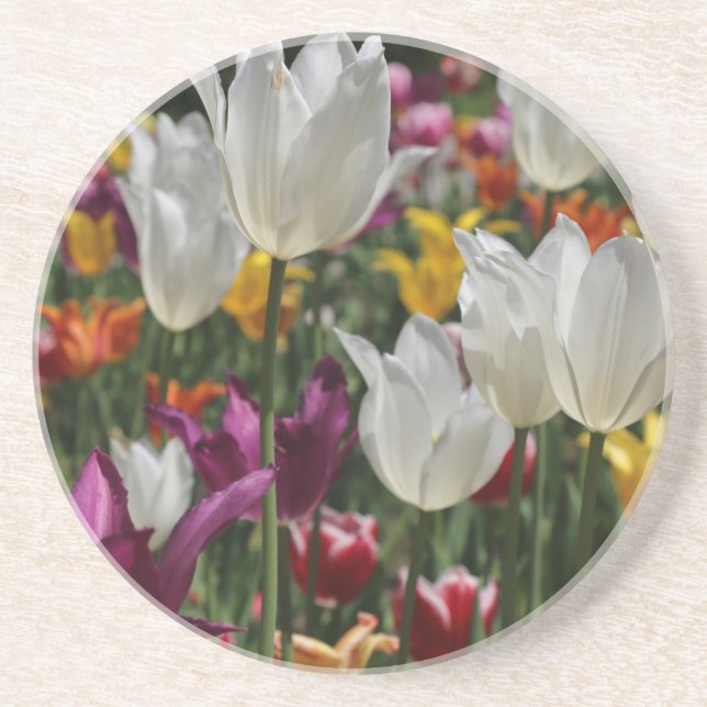Tulips Sandstein Untersetzer (Vorne)