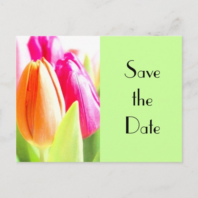 Tulips Save the Date Ankündigungspostkarte (Vorderseite)