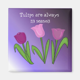 Tulips sind immer in der Saison Magnet