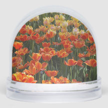 Tulips Snow Globe