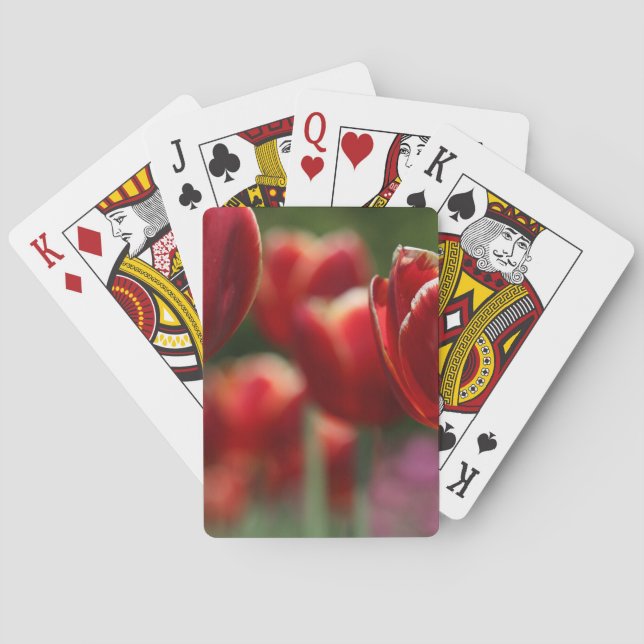 Tulips Spielkarten (Rückseite)