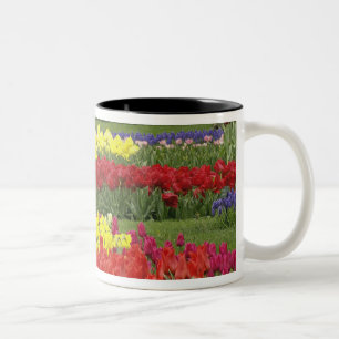 Tulips, Traubentrester und Affodils, 2 Zweifarbige Tasse