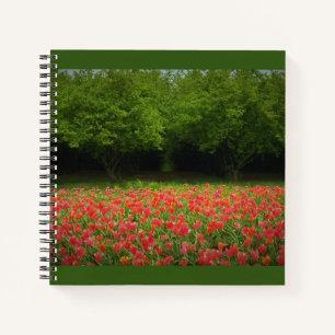 Tulips & Trees Notizbuch