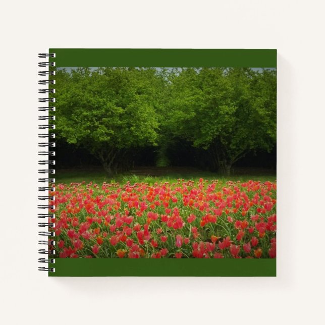 Tulips & Trees Notizbuch (Vorderseite)