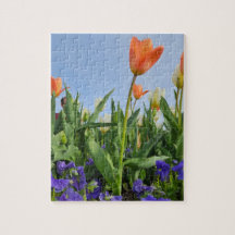 Tulips und Stiefmütterchen