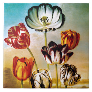 Tulips unter der Himmelsbahn Fliese