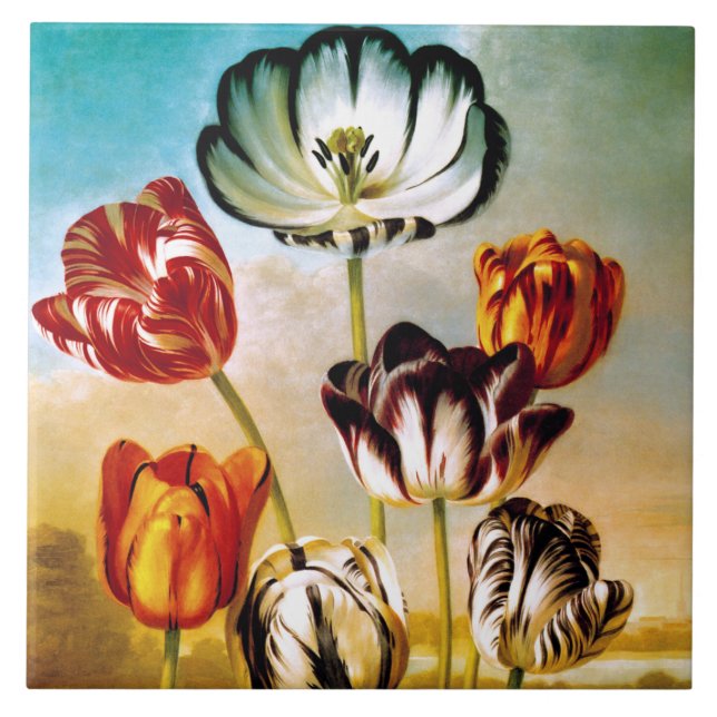 Tulips unter der Himmelsbahn Fliese (Vorderseite)