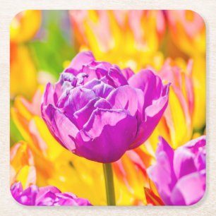 Tulips verzaubern 12 rechteckiger pappuntersetzer