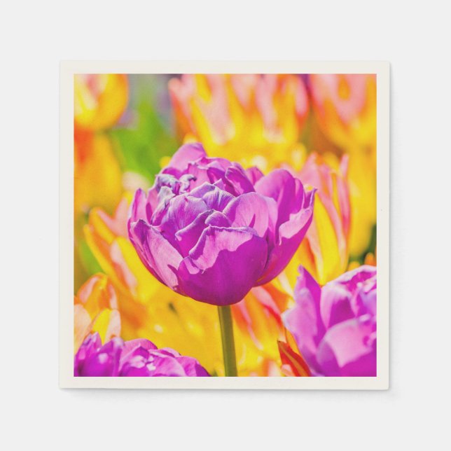 Tulips verzaubern 12 serviette (Vorderseite)