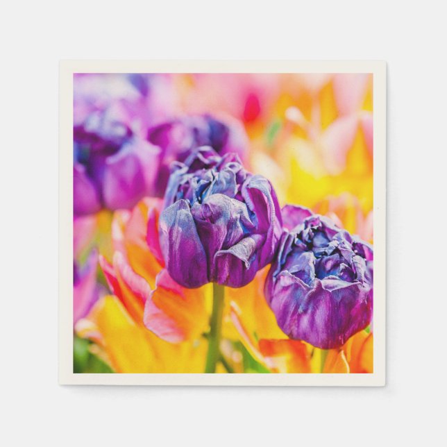 Tulips verzaubern 14 serviette (Vorderseite)