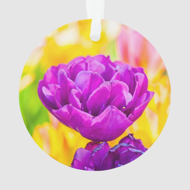 Tulips verzaubern 15 ornament (Rückseite)