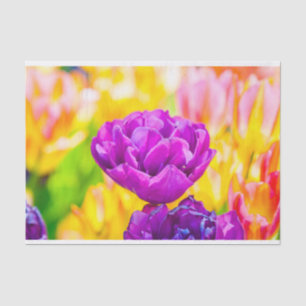 Tulips verzaubern 15 seidenpapier