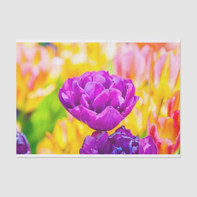 Tulips verzaubern 15 seidenpapier (Vorderseite)