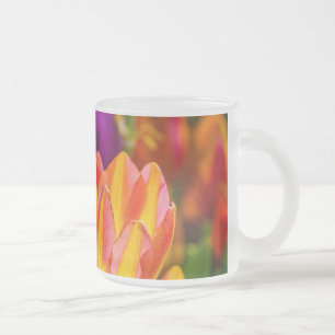 Tulips verzaubern 16 mattglastasse