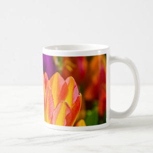Tulips verzaubern 16 tasse