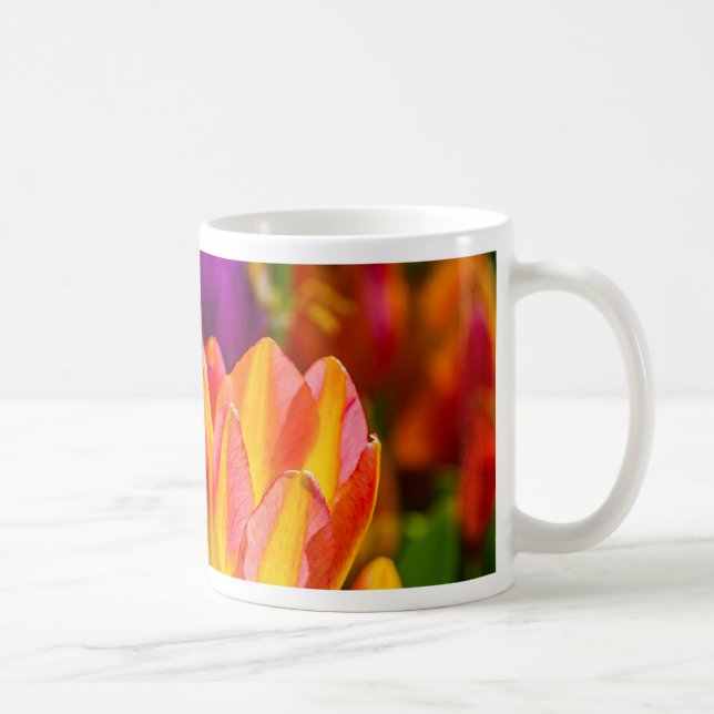 Tulips verzaubern 16 tasse (Rechts)