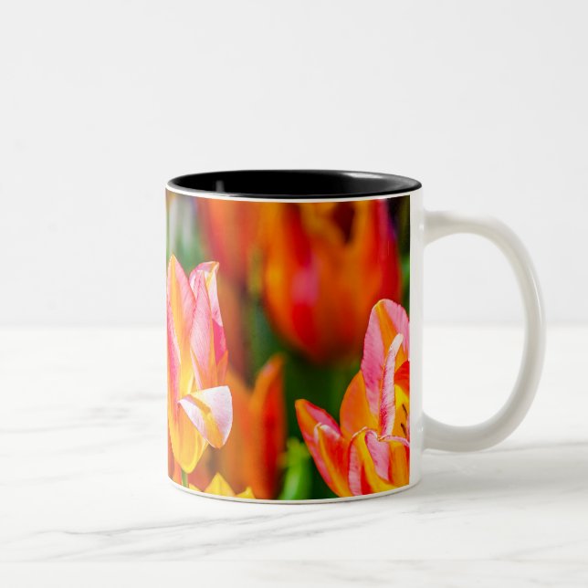 Tulips verzaubern 17 zweifarbige tasse (Rechts)