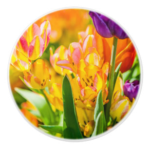Tulips Verzauberung 01 Keramikknauf