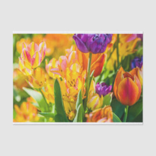 Tulips Verzauberung 01 Seidenpapier