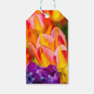 Tulips-Verzauberung Geschenkanhänger