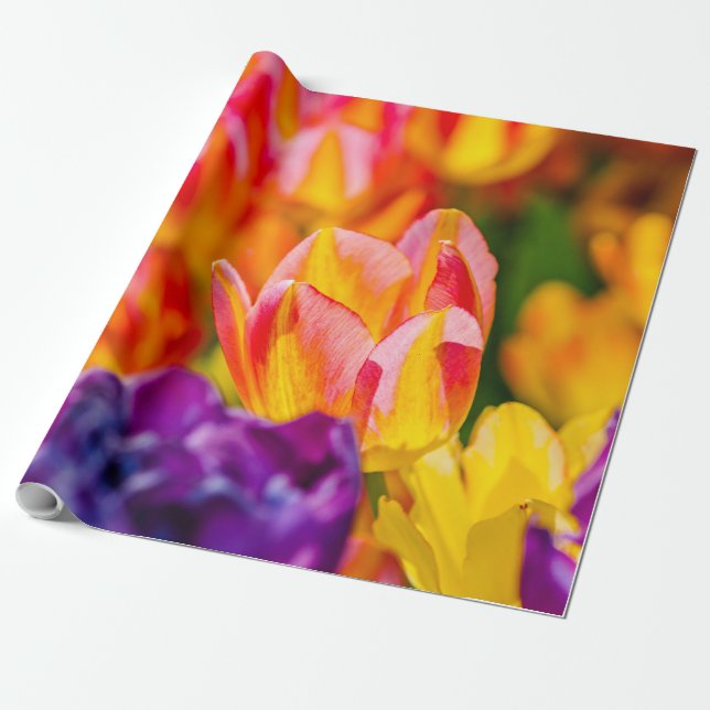 Tulips-Verzauberung Geschenkpapier (Ungerollt)