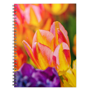 Tulips-Verzauberung Notizblock
