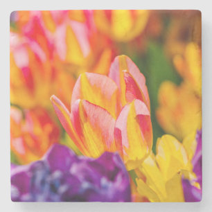Tulips-Verzauberung Steinuntersetzer