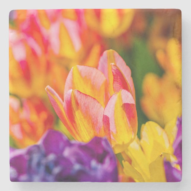 Tulips-Verzauberung Steinuntersetzer (Vorderseite)