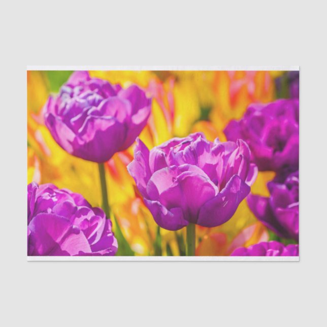 Tulips Verzauberung Violet Seidenpapier (Vorderseite)