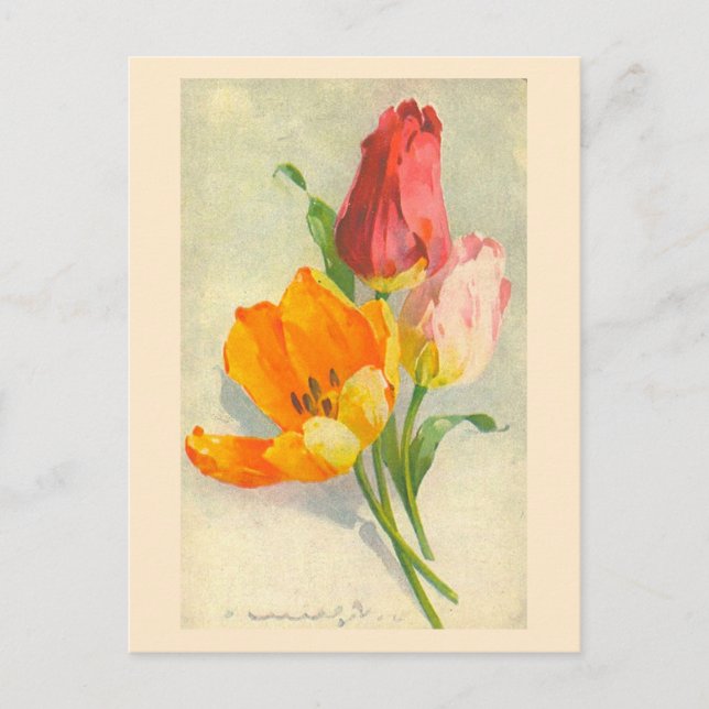 Tulips von Catherine Klein Postkarte (Vorderseite)