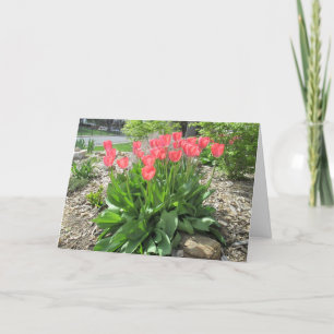 Tulips werden schnell gesund karte