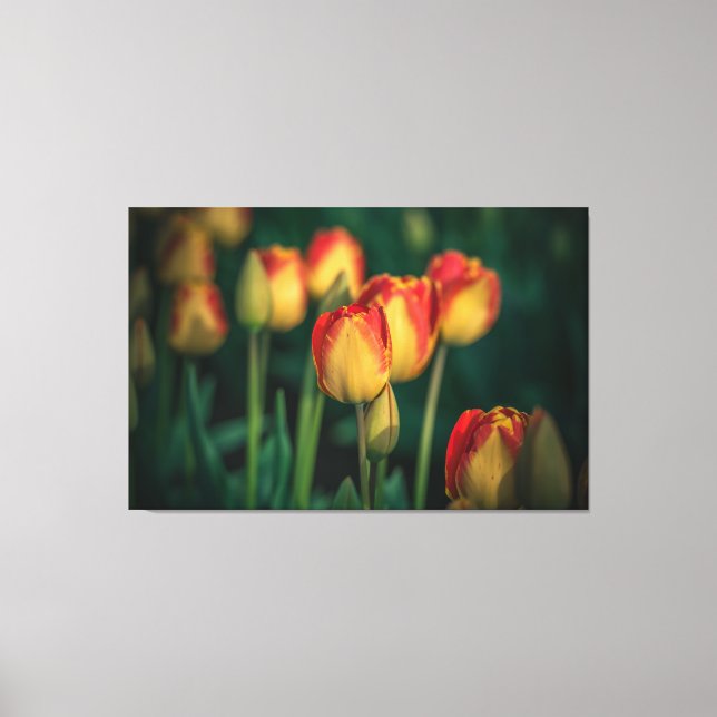 Tulips Wrapped Canvas Leinwanddruck (Vorderseite)