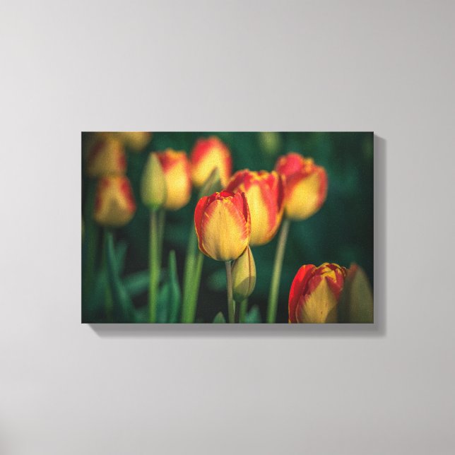 Tulips Wrapped Canvas Leinwanddruck (Vorderseite)