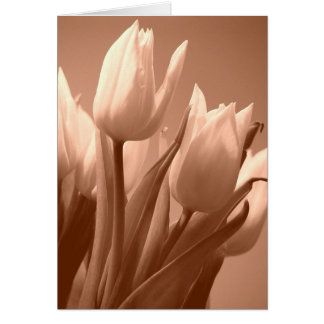 Tulipsepia
