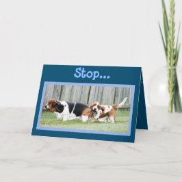 Tulissen auf lustig nur weil Karte mit Basset-Hund