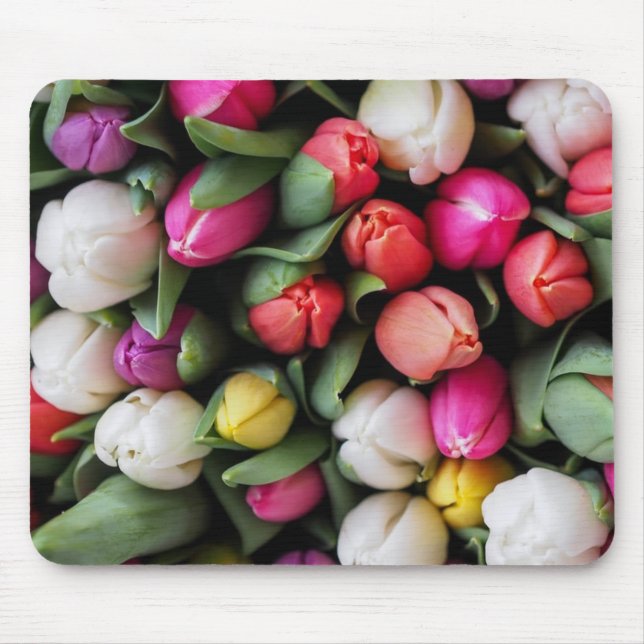 Tulissen Farbige Blume Osterfrühling Mousepad (Vorne)