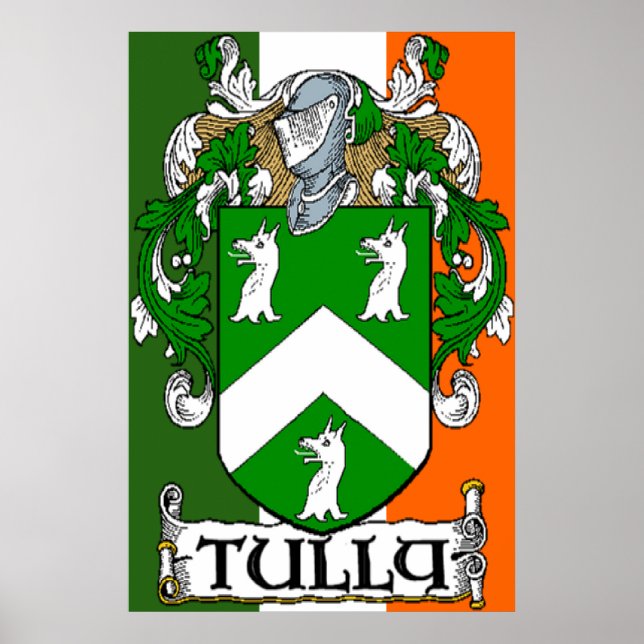 Tully Coat of Arms Irish Flag Print Poster (Vorne)