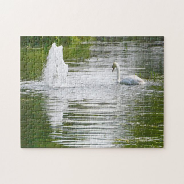 Tully, Kildare.Swans am See Puzzle (Horizontal)