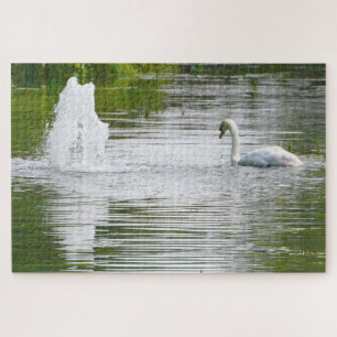 Tully, Kildare.Swans am See Puzzle